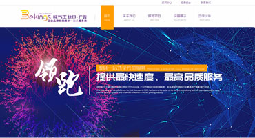 Bekings标书王新版网站正式上线啦